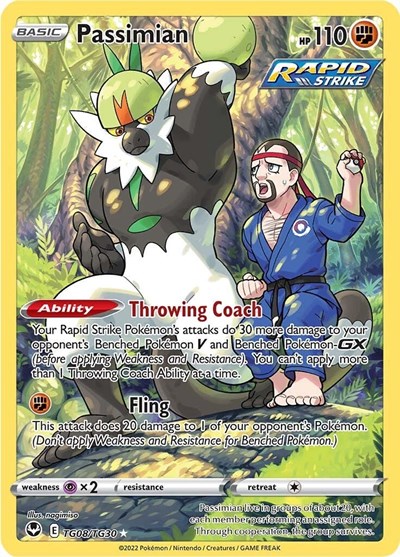 Passimian #TG08 Silver Tempest Trainer Gallery