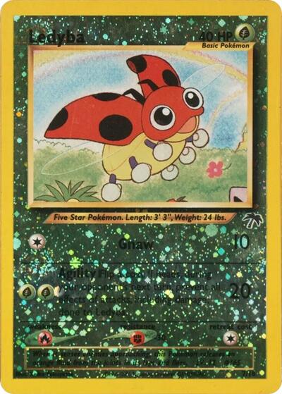 Ledyba #7 Southern Islands