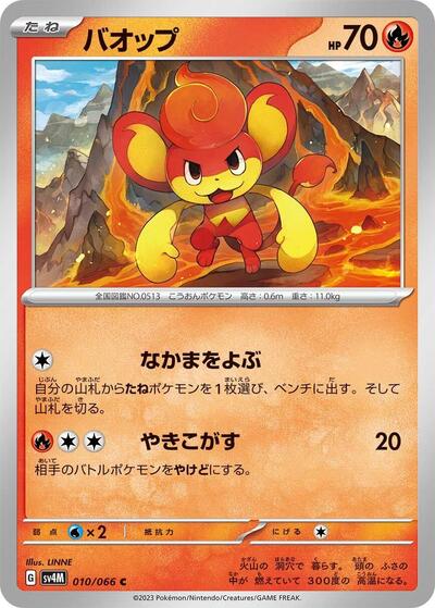 Pansear #10 Future Flash (Japanese)