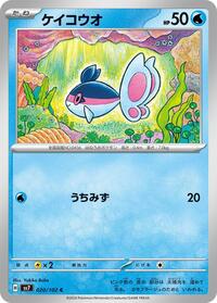 Finneon #20 Stellar Miracle (Japanese)