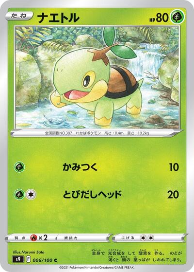 Turtwig #6 Star Birth (Japanese)