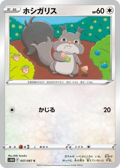 Skwovet #57 Time Gazer (Japanese)