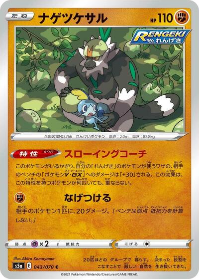 Passimian #43 Peerless Fighters (Japanese)
