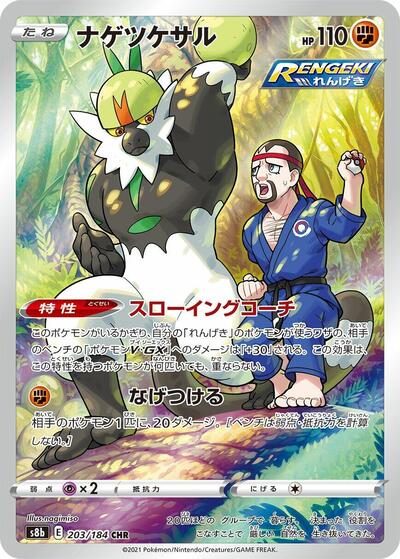 Passimian #203 VMAX Climax (Japanese)