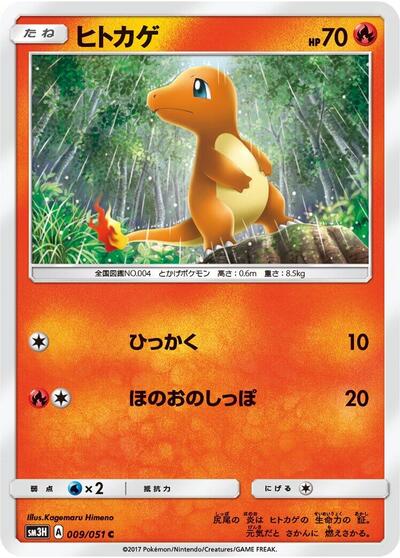 Charmander To Have Seen the Battle Rainbow (Japanese) #9