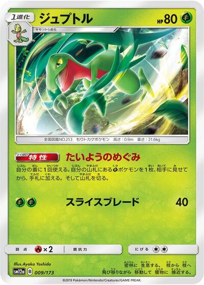 Grovyle #9 TAG TEAM GX: Tag All Stars (Japanese)