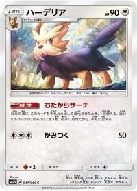 Herdier #47 Collection Sun (Japanese)