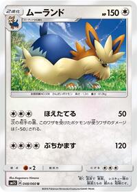 Stoutland #48 Collection Sun (Japanese)