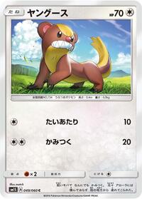 Yungoos #49 Collection Sun (Japanese)