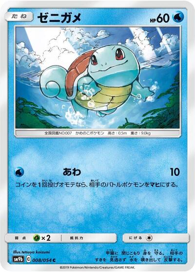 Squirtle #8 Full Metal Wall (Japanese)