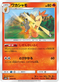 Combusken #13 GX Ultra Shiny (Japanese)