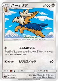 Herdier #38 Dream League (Japanese)
