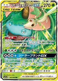 Venusaur & Snivy GX #1 Remix Bout (Japanese)