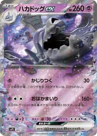 Houndstone ex #7 ex Special Set (Japanese)