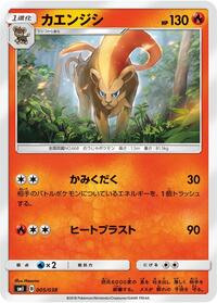 Pyroar #5