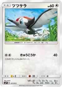 Pikipek #11