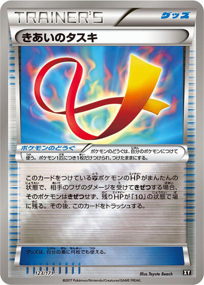 Focus Sash #123 The Best of XY (Japanese)