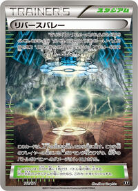 Reverse Valley #161 The Best of XY (Japanese)