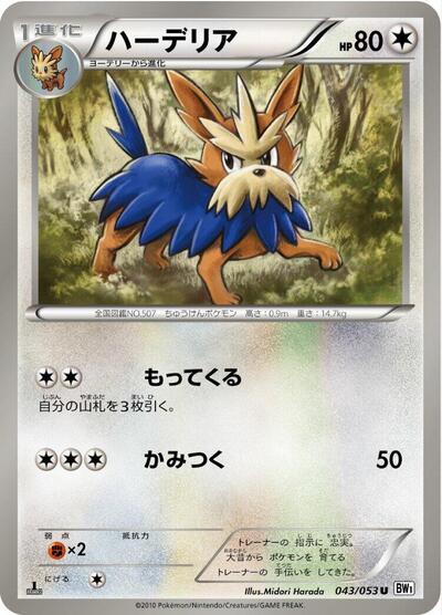 Herdier #43 White Collection (Japanese)