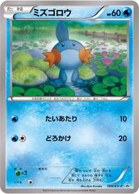 Mudkip #109 XY Promos (Japanese)
