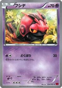 Venipede #24 Collection Y (Japanese)