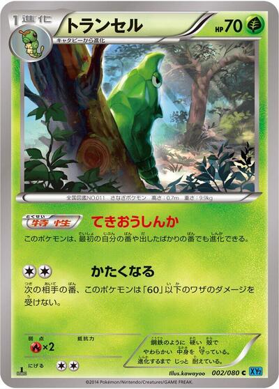 Metapod #2 Wild Blaze (Japanese)
