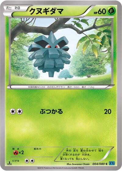 Pineco #4