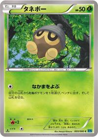 Seedot #5 Wild Blaze (Japanese)
