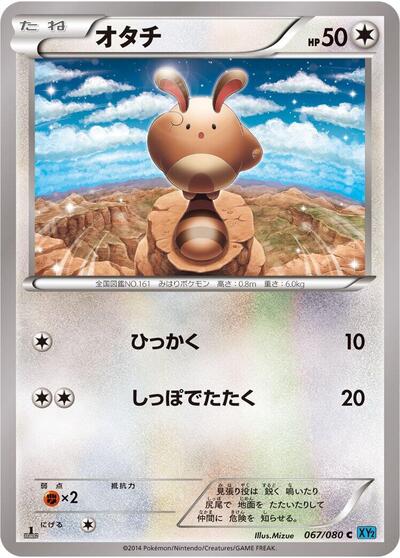 Sentret #67 Wild Blaze (Japanese)