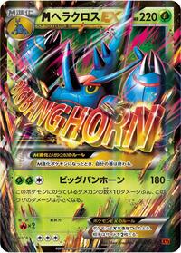Heracross #5
