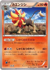 Pyroar #6