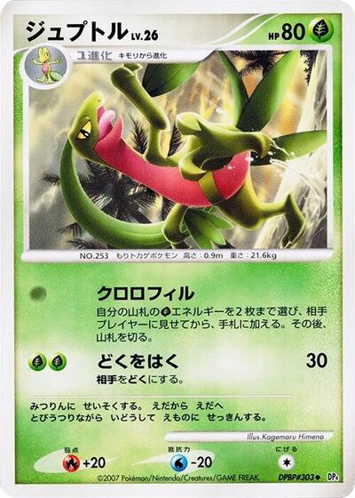 Grovyle #promo Dawn Dash (Japanese)