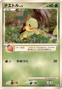 Turtwig #1 Regigigas LV.X Collection Pack (Japanese)