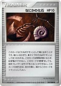 Mysterious Fossil #67 Magma VS Aqua: Two Ambitions (Japanese)