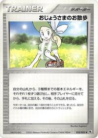 Lady Outing #53 ADV Expansion Pack (Japanese)