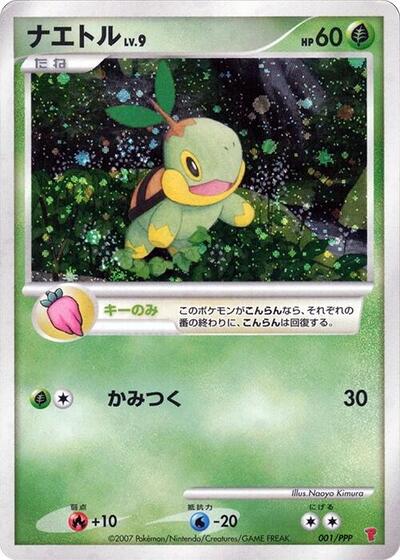 Turtwig #1