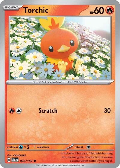 Torchic #22 Journey Together