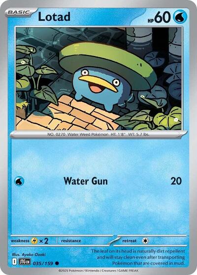 Lotad #35 Journey Together