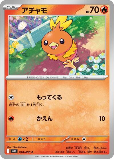 Torchic #18 The Glory of Team Rocket (Japanese)