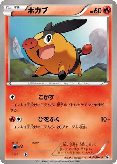Tepig #19 BW-P Promotional cards (Japanese)