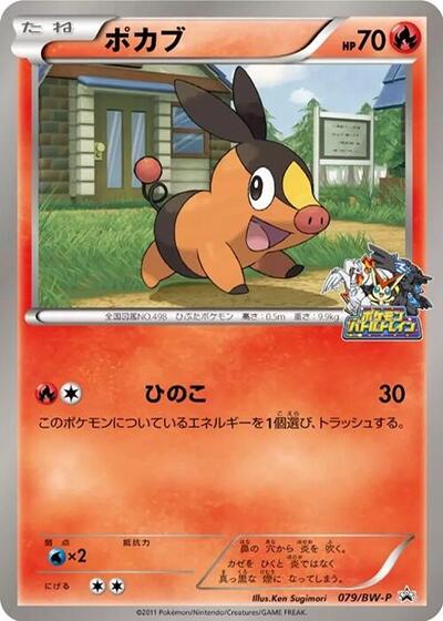 Tepig #79 BW-P Promotional cards (Japanese)