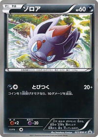 Zorua #21 BW-P Promotional cards (Japanese)