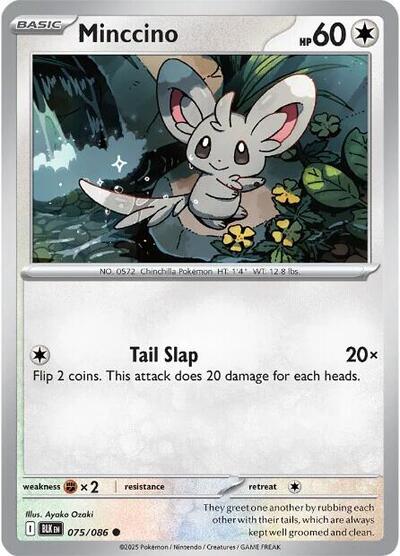 Minccino #75 Black Bolt