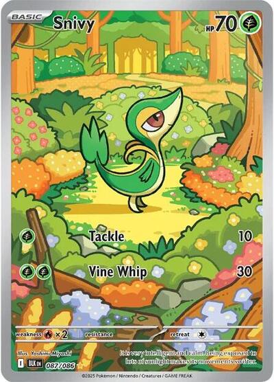 Snivy #87 Black Bolt
