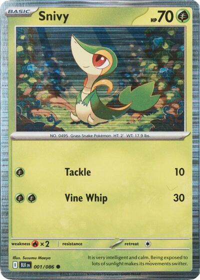 Snivy Miscellaneous Cards & Products #1