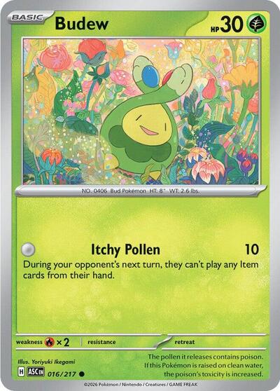 Budew #16 Ascended Heroes