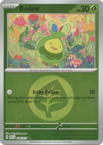Budew #16 Ascended Heroes