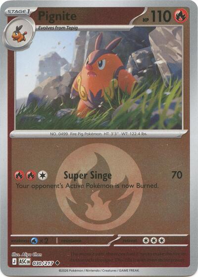 Pignite #30 Ascended Heroes
