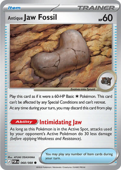 Antique Jaw Fossil #68 Perfect Order