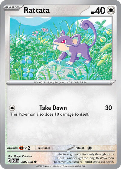 Rattata #60 Perfect Order
